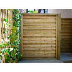 Brise Vue En Pin Rouge Du Nord Elegant -Pas Cher Plante Douce Magasin brise vue en pin rouge du nord elegant 2