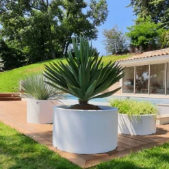 Pas Cher Plante Douce Magasin -Pas Cher Plante Douce Magasin pot rodeo papi 1