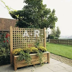 Pas Cher Plante Douce Magasin -Pas Cher Plante Douce Magasin treillis provence 1