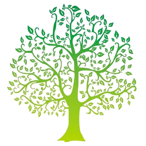 Pas Cher Plante Douce Magasin