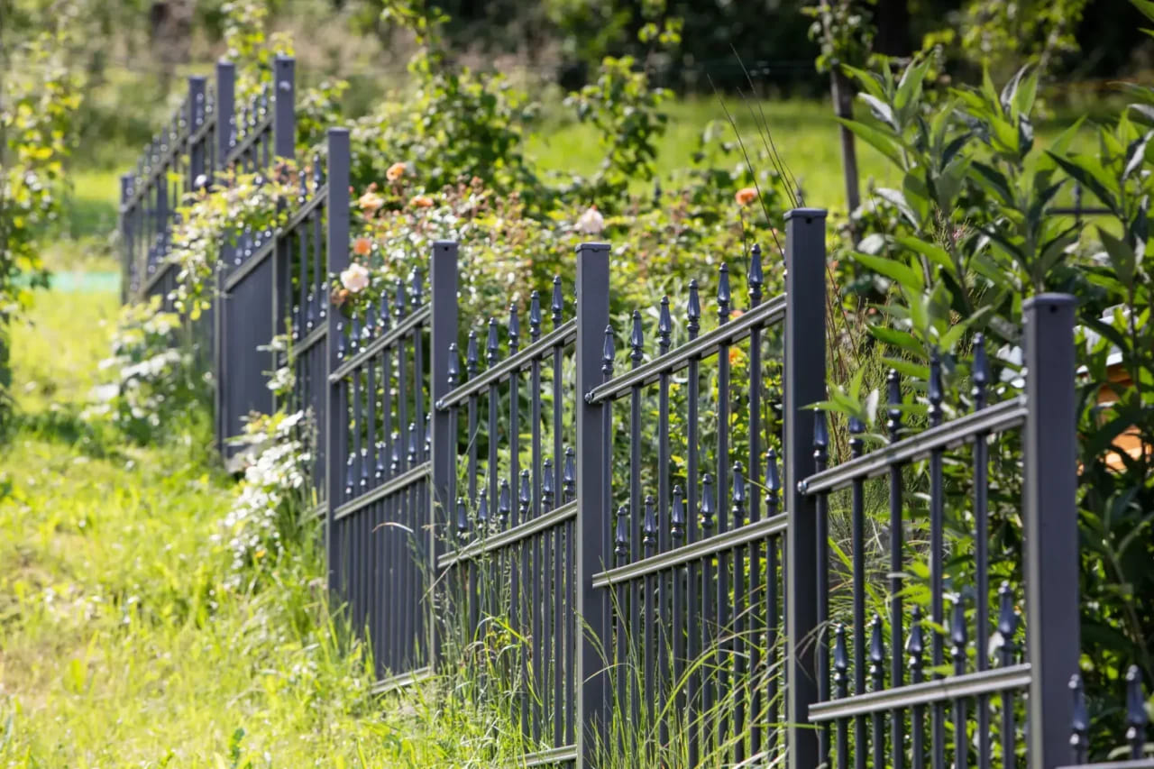 Pas Cher Plante Douce Magasin -Pas Cher Plante Douce Magasin hang rao vuon